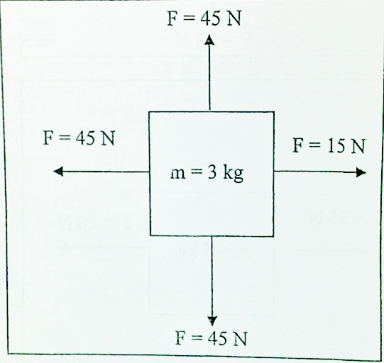 Free Body Diagrams: Calculating Net Force And Acceleration ... fnet diagram 